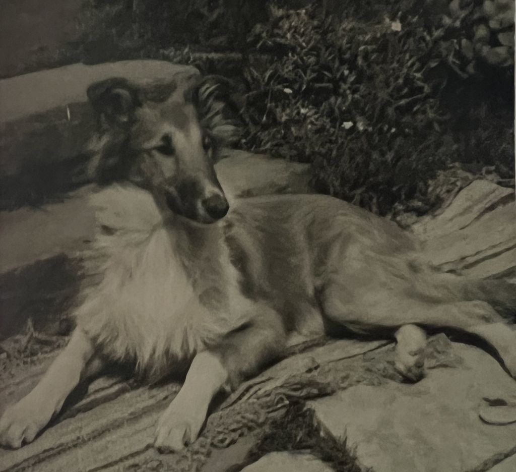 Bionda von der Kantorie