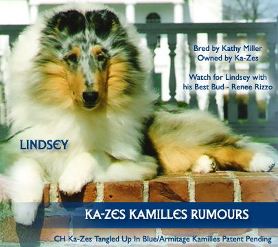 Ka-Zes Kamilles Rumours