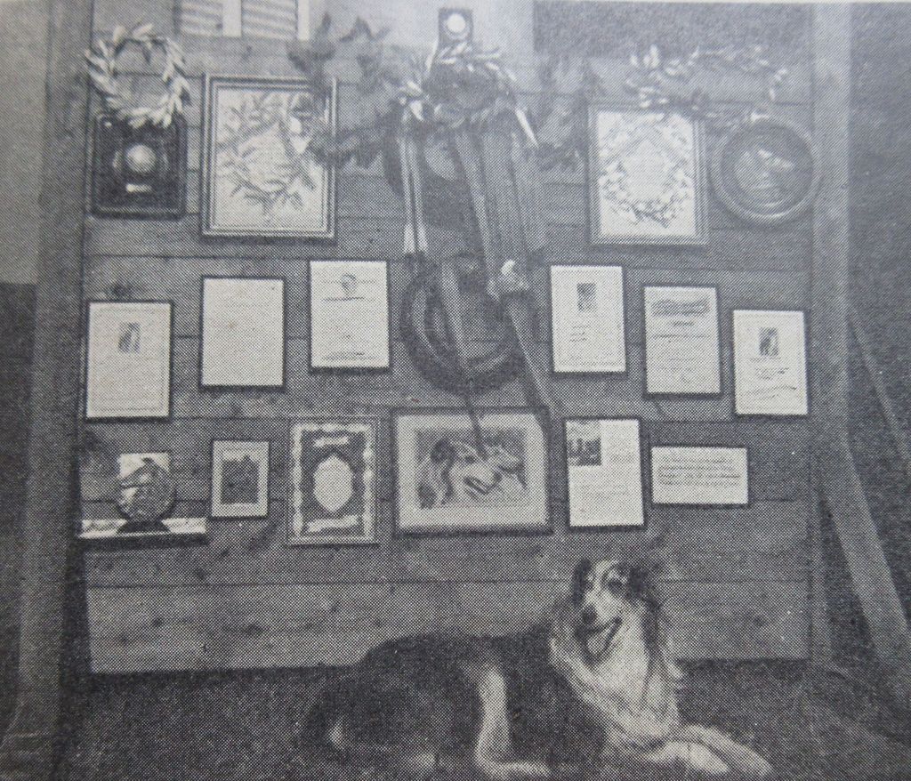 Axel von der Einsiedelei