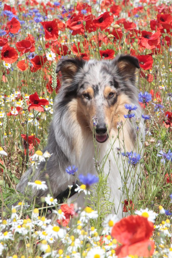 Lakisha of Feeling for Nature