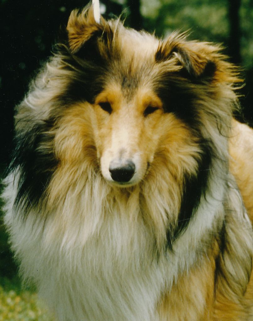Bo vom Hause Reinhard