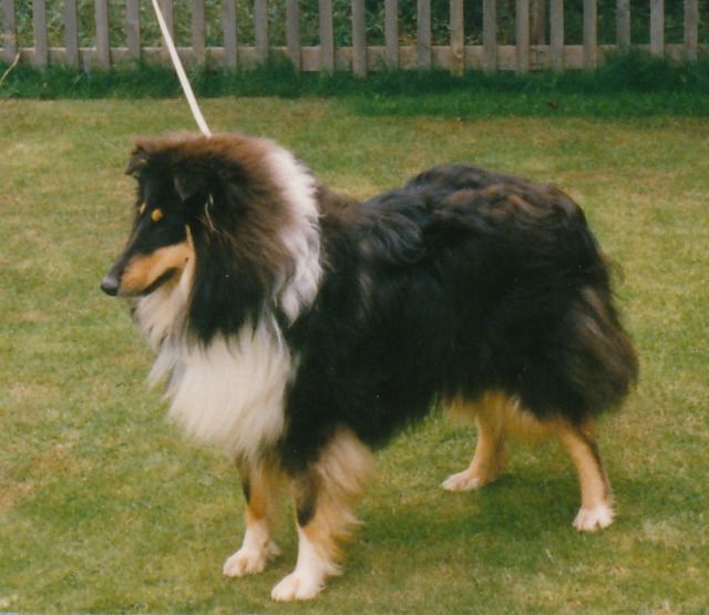 Akdeniz Top Hat and Tails