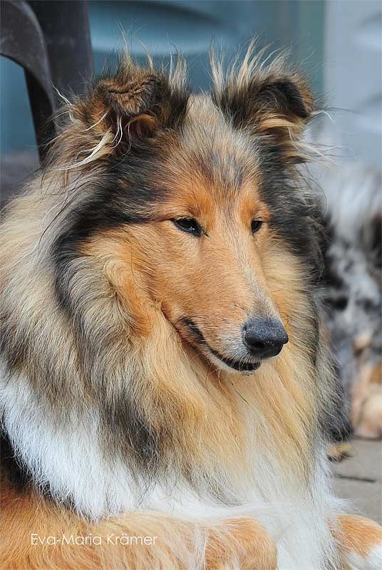 Lea Luzzia von Crottorf