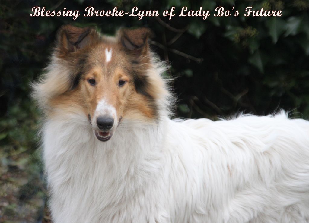 Blessing Brooke-Lynn Lady Bo's Future