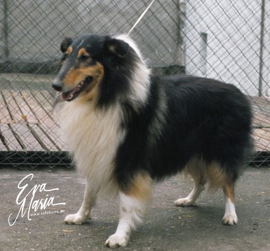 Mister John von der Kilb