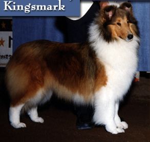Kingsmark State Of Grace