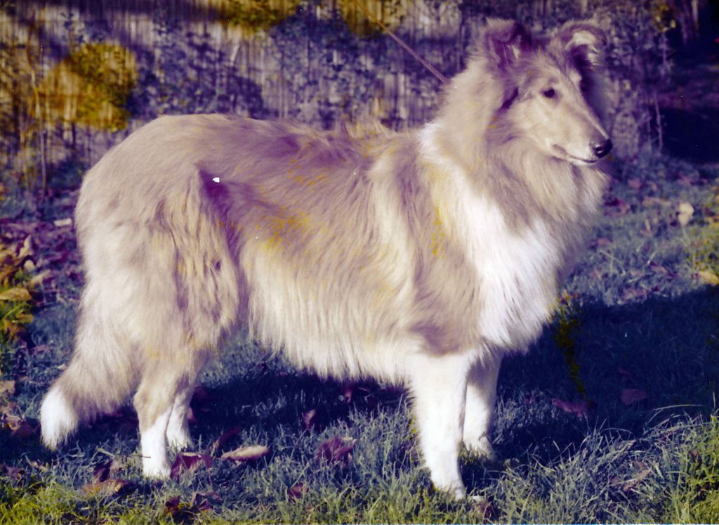Gina von der Schönebecker Schweiz