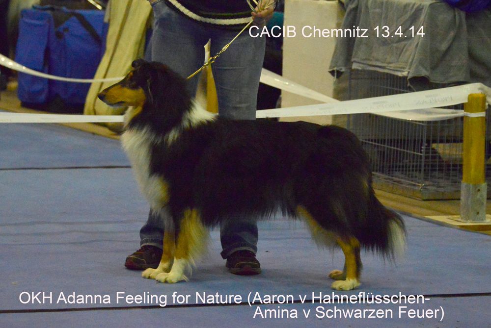 Adanna Feeling For Nature