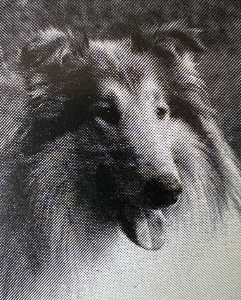 Boris von Queensland