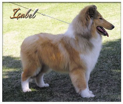 Lakefield Liable Legend Of Stars