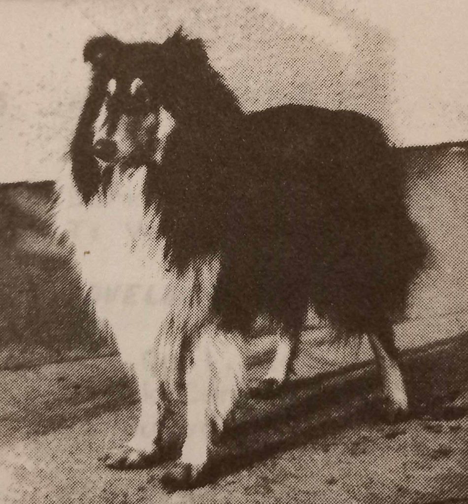 Köbüki Astor