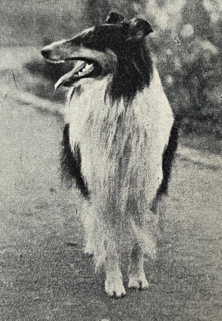 Axel aus dem Hexenhaus