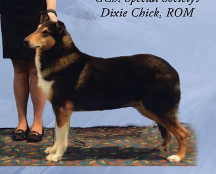 Special Society's Dixie Chick