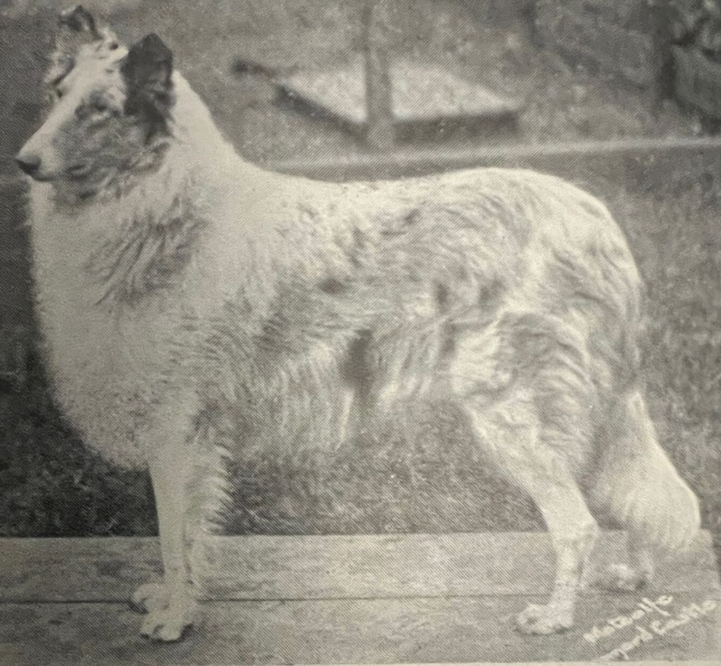 Bluette of Waldemar