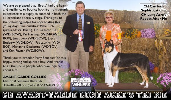 Avant-Garde Long Acre's Tri Me