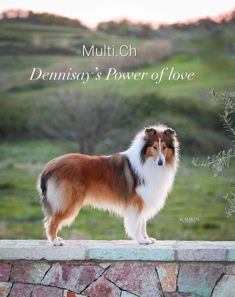 Dennisays Power of Love