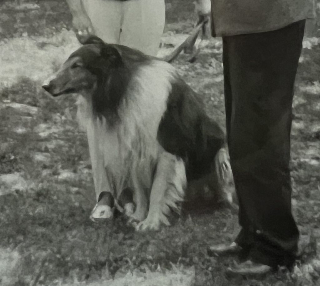 Benno vom Obernsee