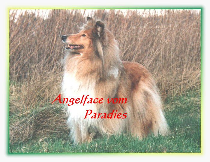 Angelface vom Paradies