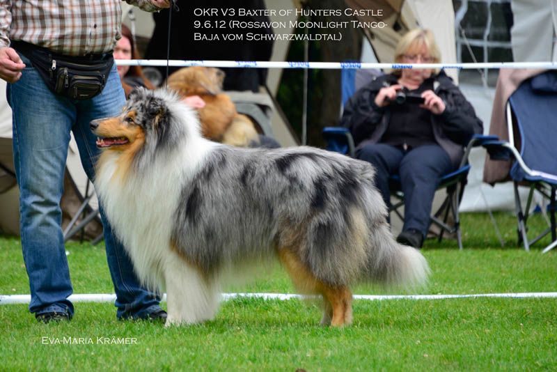 Baxter of Hunters Castle