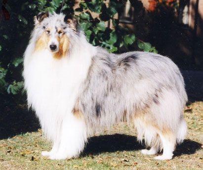 Aberhill Bluwatch