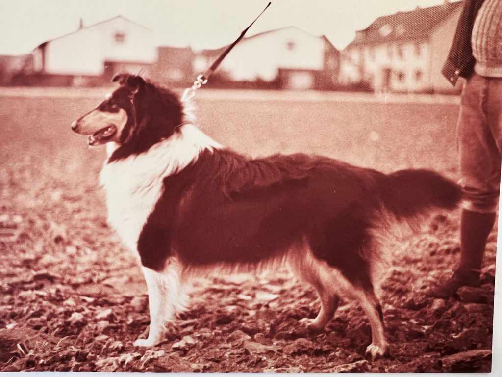 Beruschka von Orissa