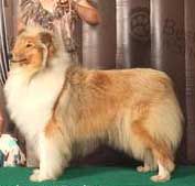 Lakefield Liable Legend In Show