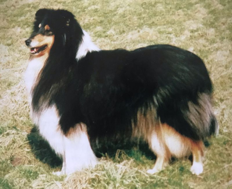Coarhabeg Gentle Zephyr