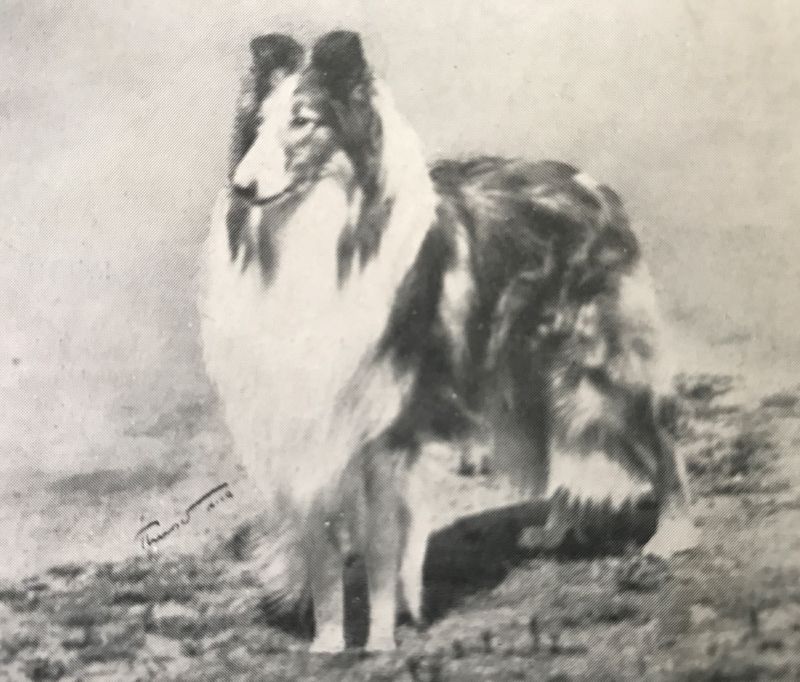 Beulah's Golden Florizell