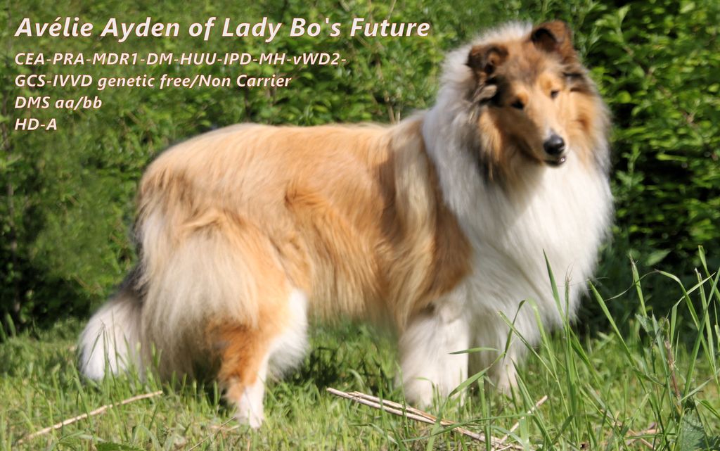 Avélie Ayden of Lady Bo's Future