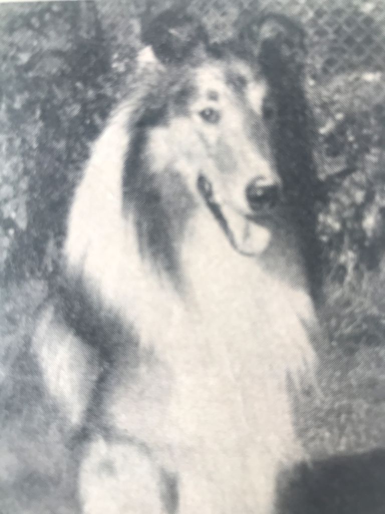 Artus of Goldengate