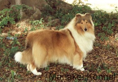 Lakefield Lilibeth of Liable