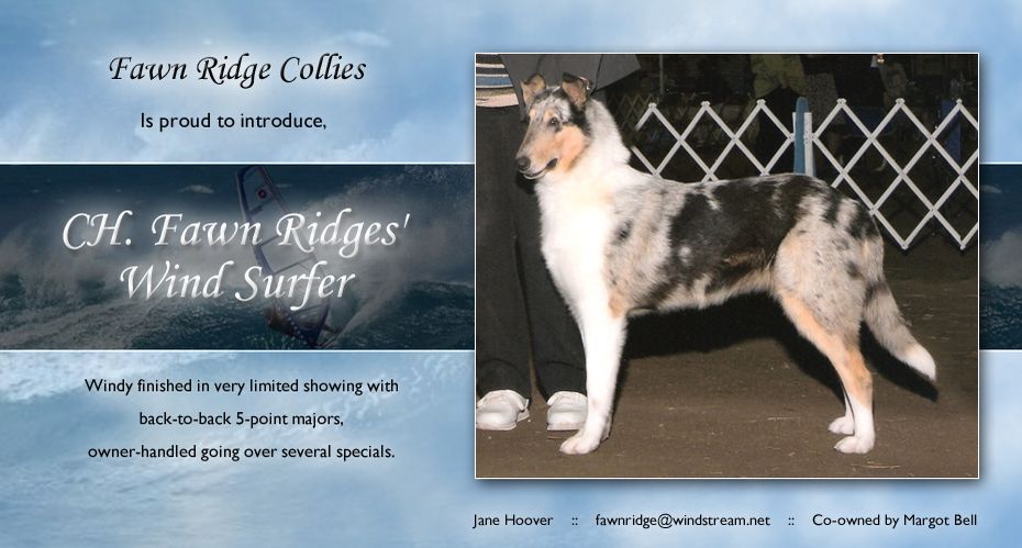 Fawn Ridges Wind Surfer