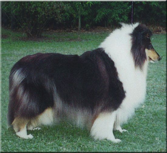 Lakefield Lola Of Liable