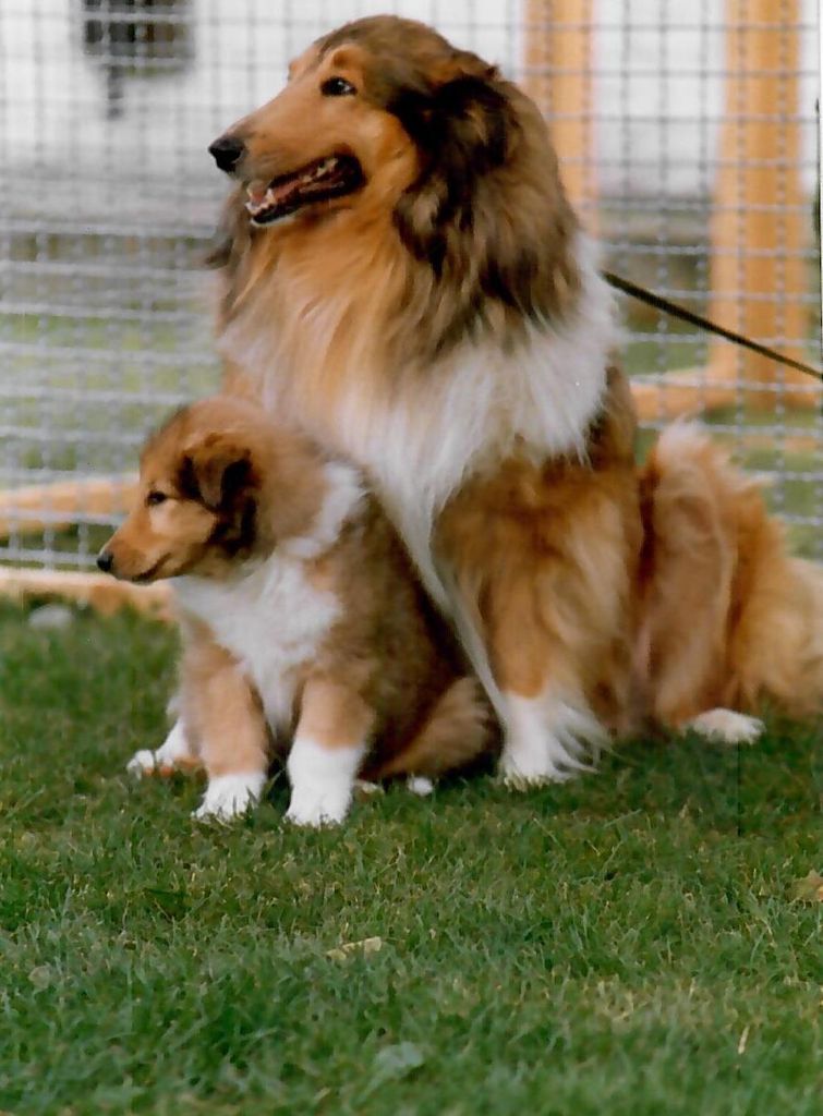 Barry von der Ruraue