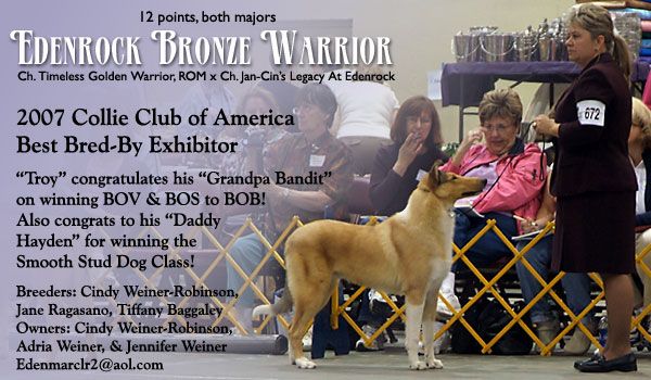 Edenrock Bronze Warrior