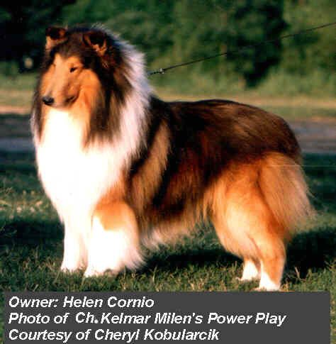 Kelmar Milen's Power Play