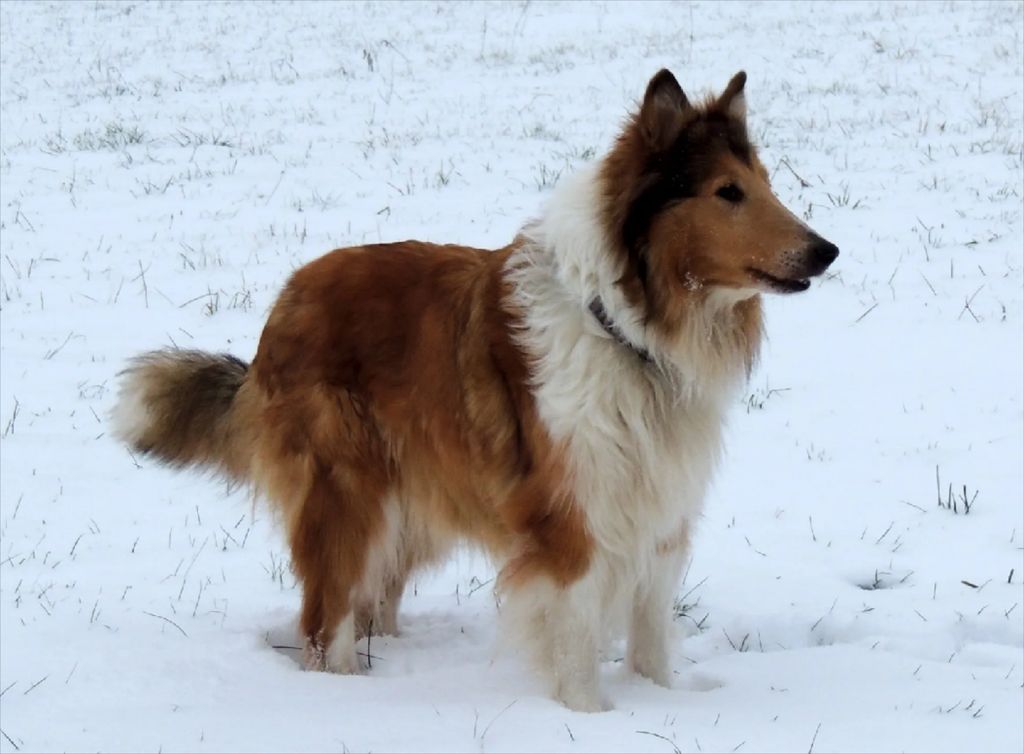 Birte aus dem Osterborn