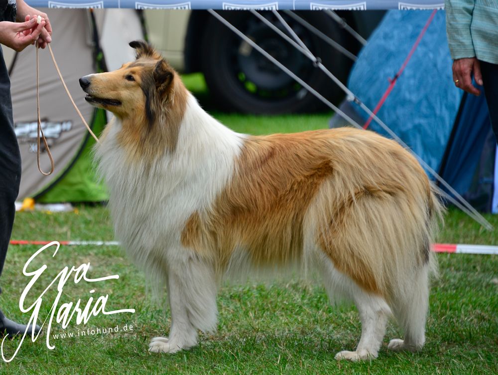 Evaristo Ellenora Lady Bo's Future