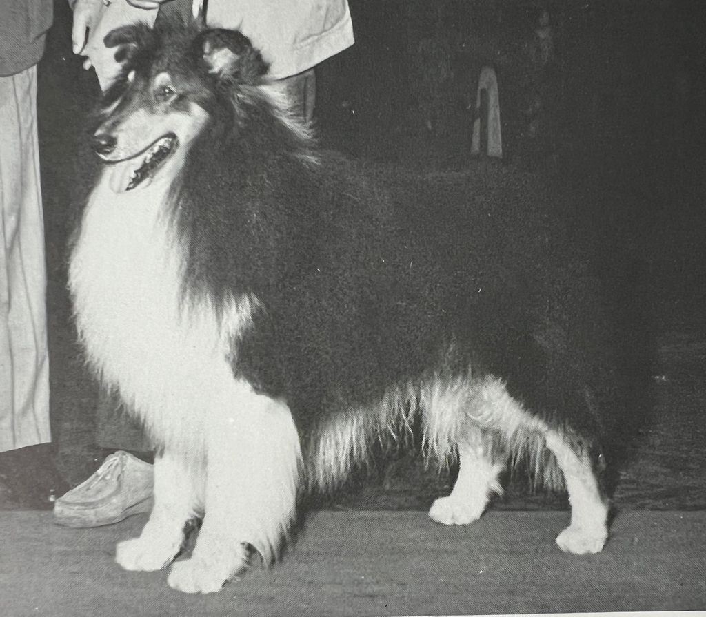 Glen Hill Prototype