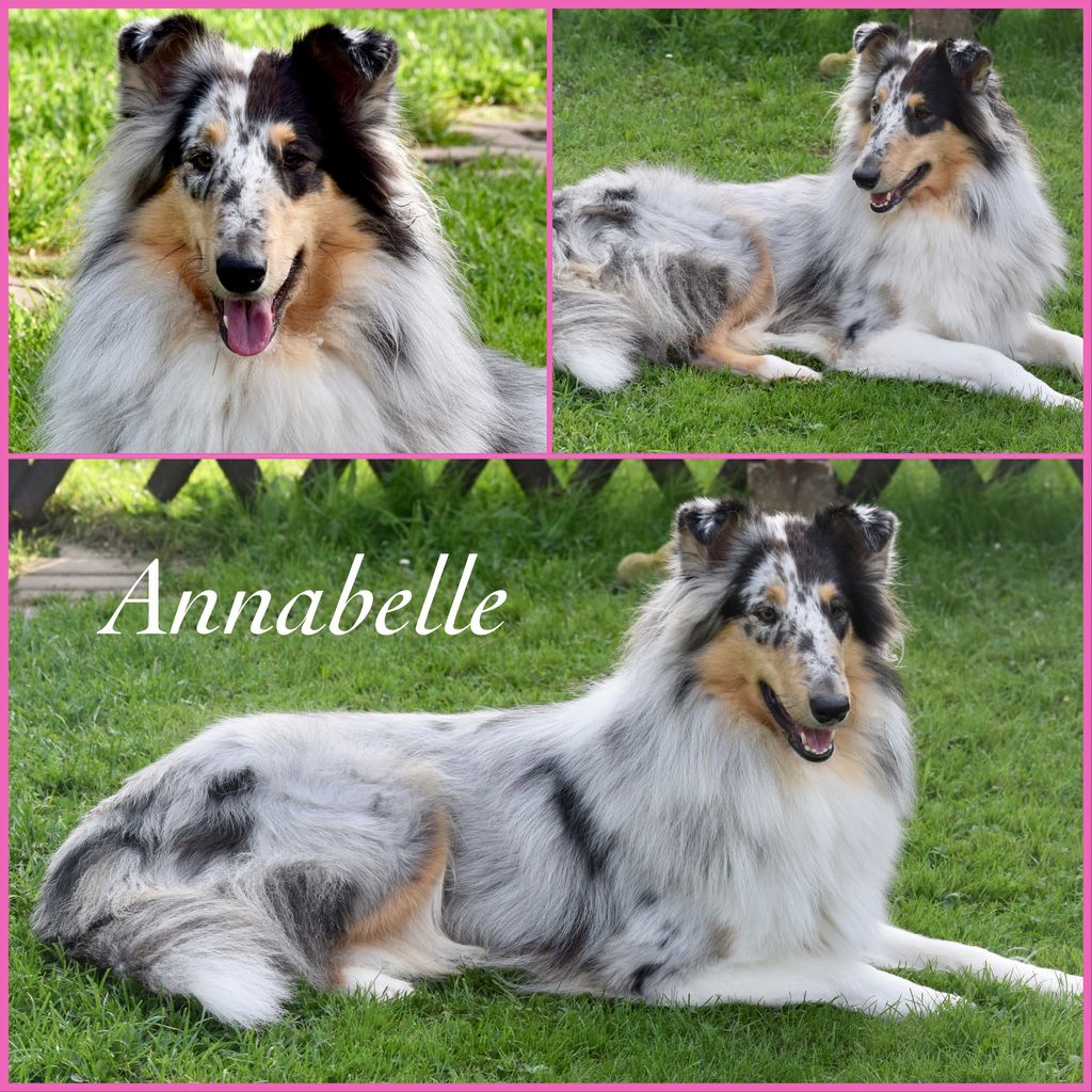 Annabelle vom Wolkenland