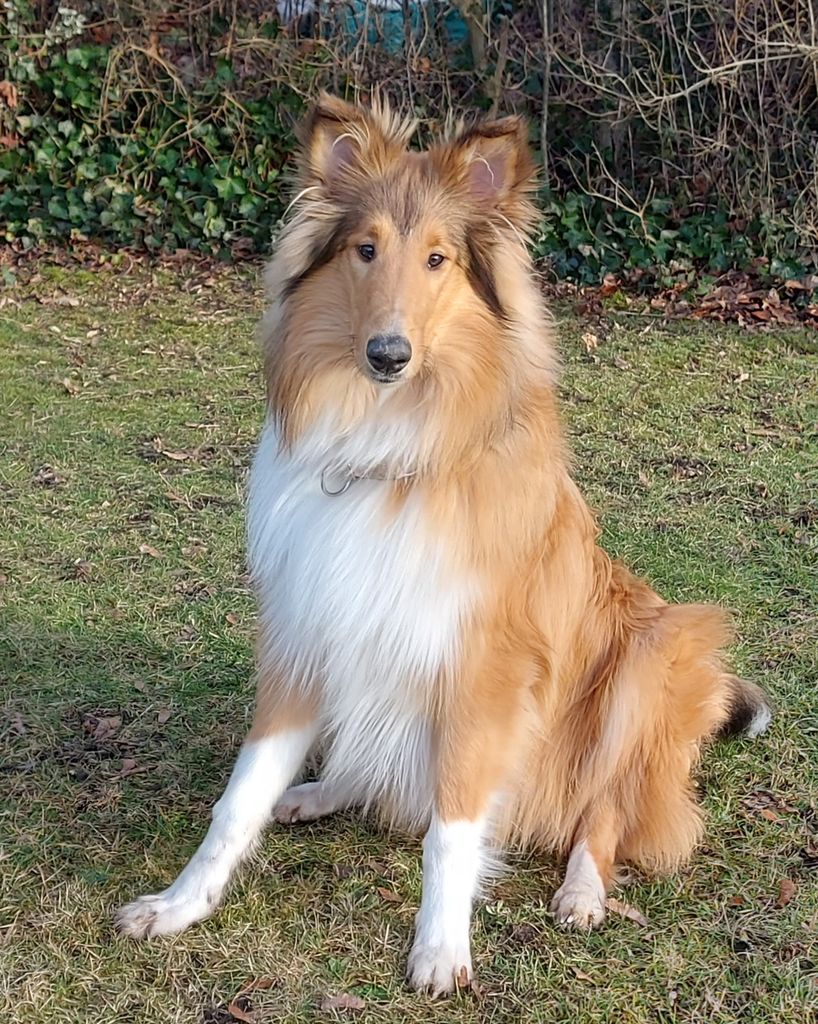 Barney of True Fellow