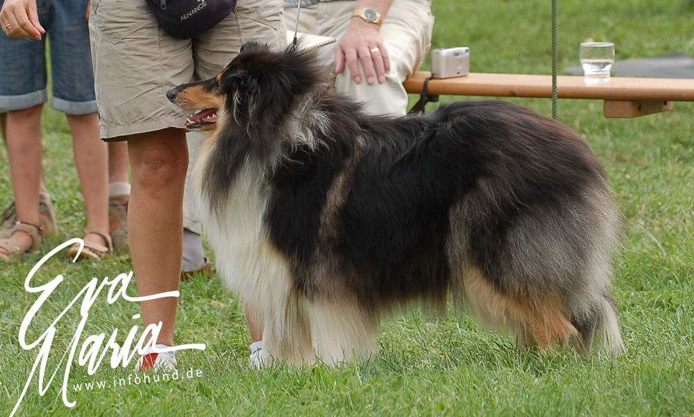 Baronessa vom Drachenfelser Ländchen