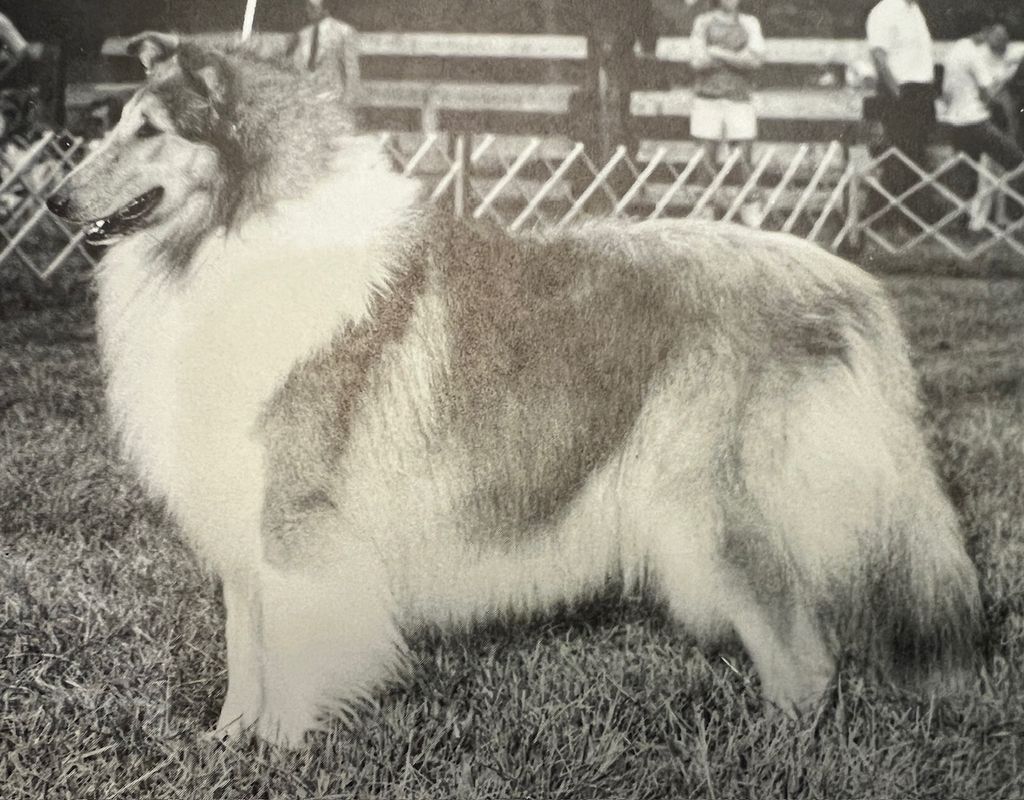 Argyle’s Annie Laurie