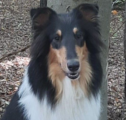 Amelia von der Osteraue