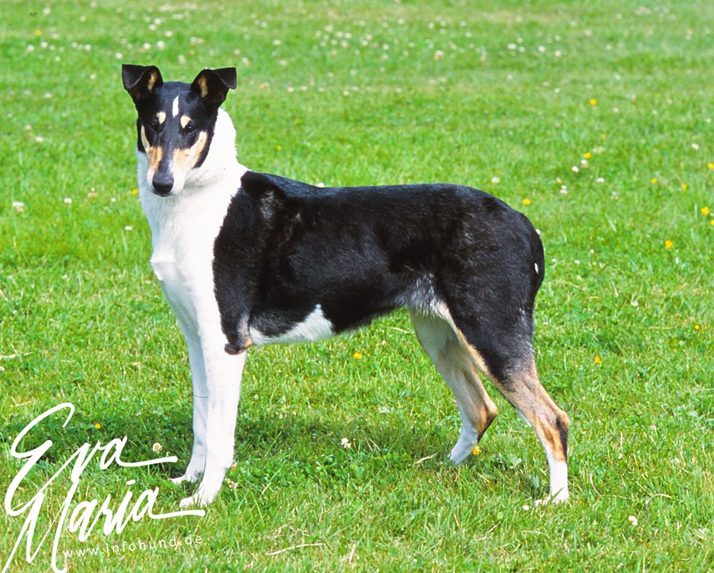 Oneway's Grace Kelly