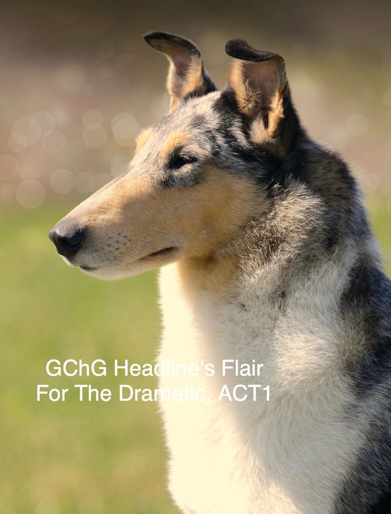 Headline's Flair For The Dramatic