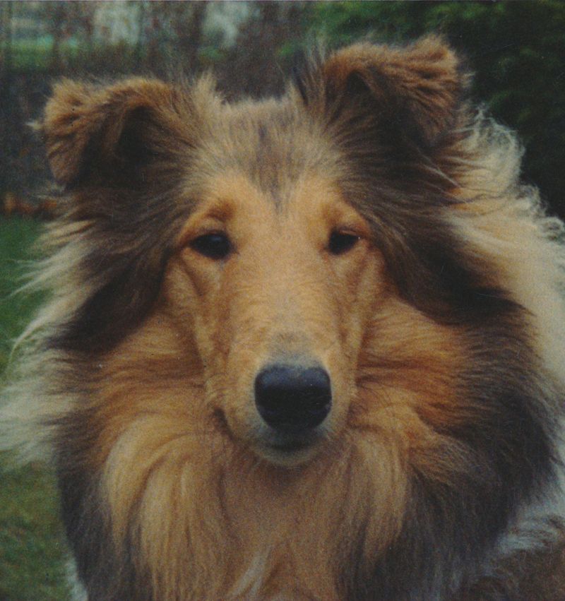 Alina-Rhea von Rubinia